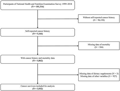 Association between dietary supplement use and mortality in cancer survivors with different body mass index and frailty status: a cohort study
